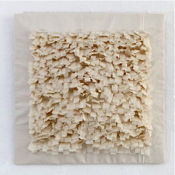cottonfields1.jpg